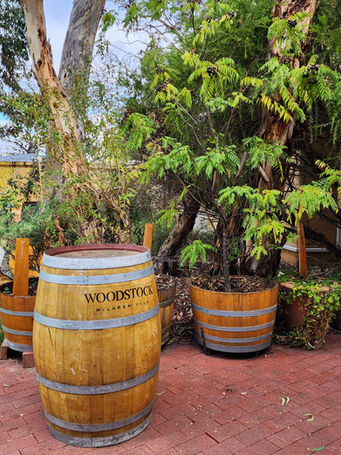 Woodstock wine barrel in front of some of the Woodstock garden on the McLaren Vale Winery Tour, Fleurieu Peninsula, South Australia