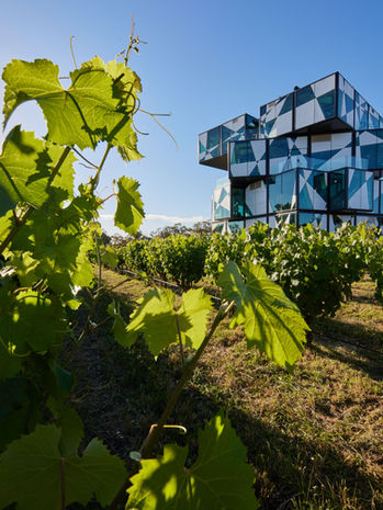 d'Arenberg cube sitting above green vines on a McLaren Vale winery tour on the Fleurieu Peninsula, South Australia must see destination