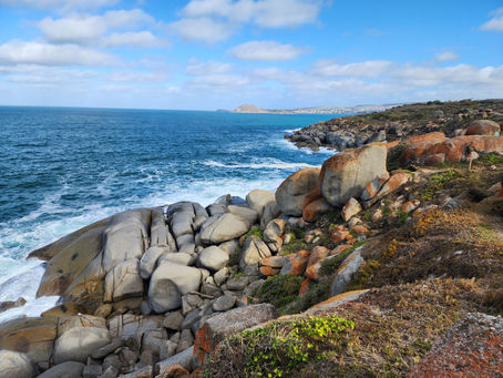 Granite Island Lichen covered rocks, Victor Harbor, Adelaide South Australia