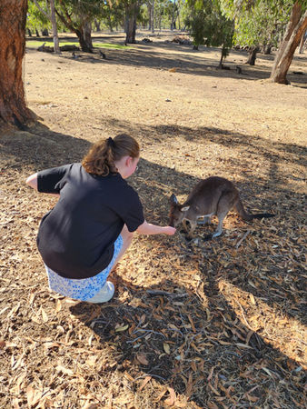 Girl feeding a small kangaroo at Cleland Wildlife Park in the Adelaide Hills