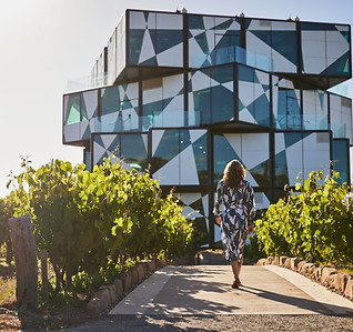 d'Arenberg Cube among the vines on a McLaren Vale wine tour