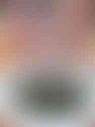 gyokuro with packaging