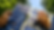 Screen Shot 2019-12-26 at 1.28.05 PM.png