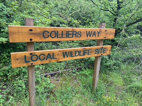 Collier Way