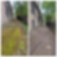 Murray's Clearances - Garden Clearance - before and after - image 1.jpg