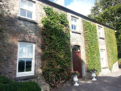 vines growing on a stone cladded house with sash windows