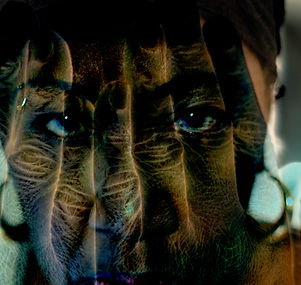 Untitled-1.jpgNikolDehaanMatteA3.jpg