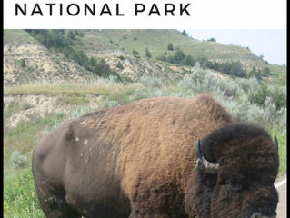 Check Out Our Newest Book - 101 Travel Bits: Theodore Roosevelt National Park