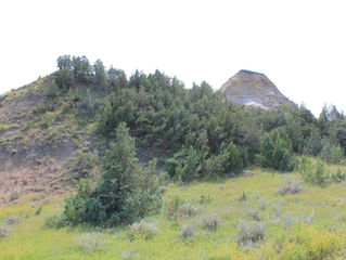 101 Travel Bits: Theodore Roosevelt National Park - Coal Vein Nature Trail
