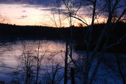 DSC_0313.JPG