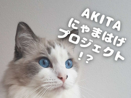 ブース出展者のご紹介｜vol.02｜記帳代行サービス ブルーミー