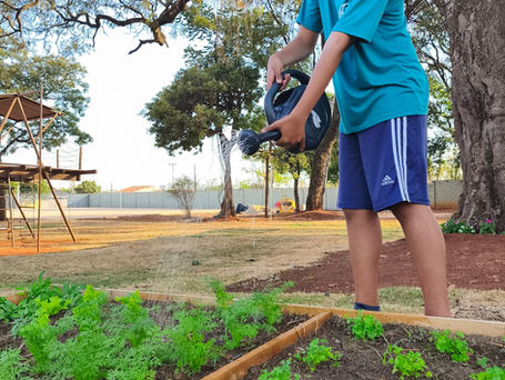 ADRA inaugura horta e promove educação ambiental