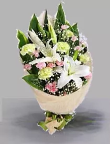 豊中市,寝屋川市,園田市,摂津市,尼崎市,胡蝶蘭,スタンド花,花,花屋
