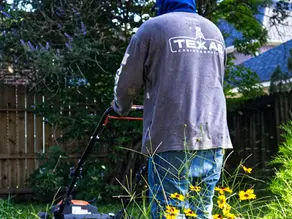 The Benefits of Regular Poop Cleanup for Your Lawn