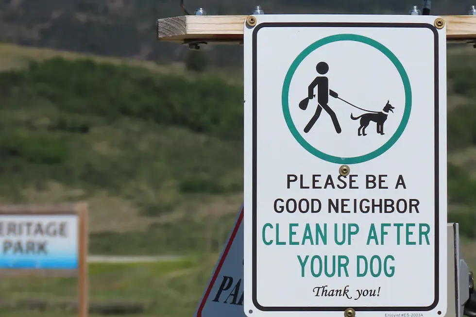 The Environmental Impact of Pet Waste: A Call to Action for Pet Owners