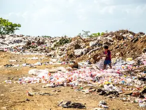 The Environmental Impact of Improper Waste Disposal: A Call to Action