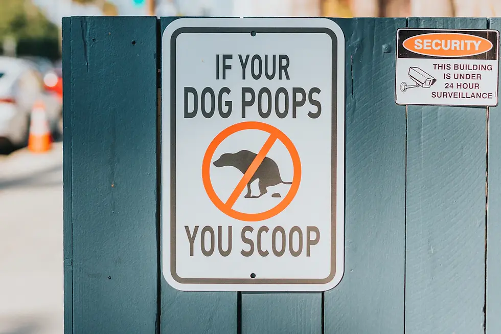 Understanding Local Laws on Poop Disposal: A Guide for Responsible Pet Owners