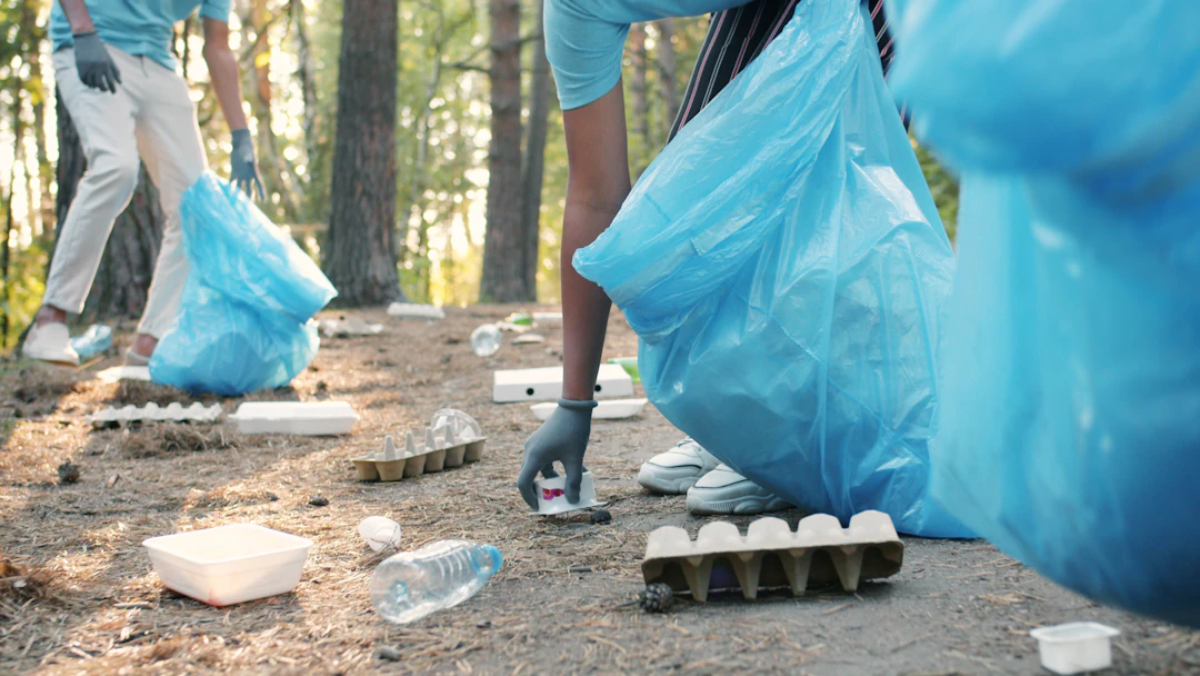 The Hidden Impact of Poop Cleanup on Urban Wildlife