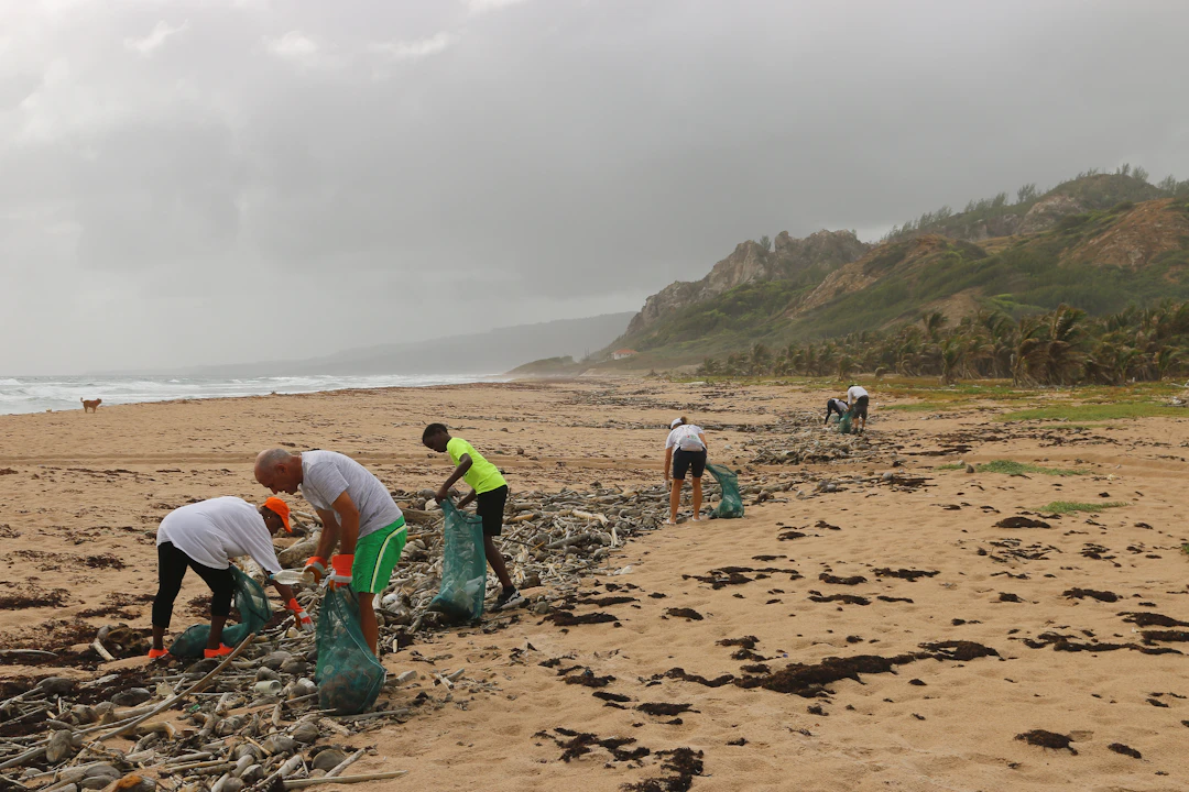 Unleashing Community Spirit: How to Organize a Poop Cleanup Event