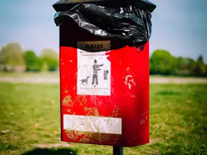 Choosing the Right Poop Bags: A Comprehensive Guide for Pet Owners
