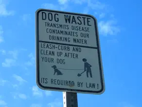 Best Practices for Poop Cleanup in Parks