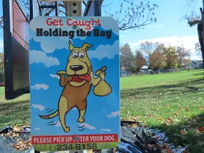 Creative Ways to Encourage Good Poop Cleanup Habits