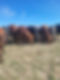 20231015_134823.jpg