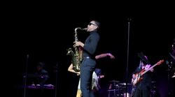 Screenshot 2026-02-19 at 1.03.20 AM