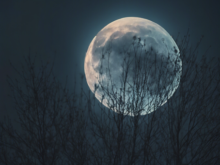 Empower Your Motherhood Journey with Luna Wolf Coaching