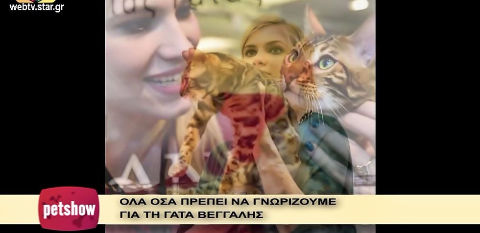 Pet Show