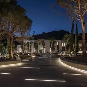 Moonstar Led Linear Light on driveway of beautiful home.