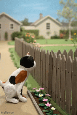 catgif.gif
