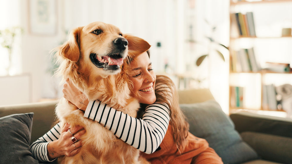 Golden retriever being hugged by a smiling woman on a living room couch, representing trusted in-home pet sitting and loving pet care in Chandler, Arizona.