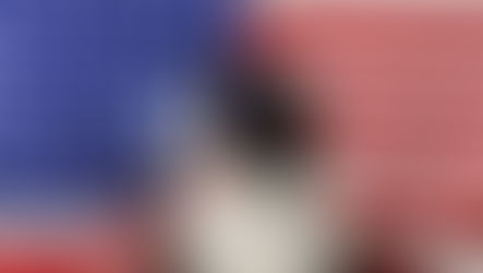 Beautiful border collie in front of a USA flag with sunglasses