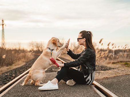 10 Reasons You Should Hire a Professional Pet Sitter