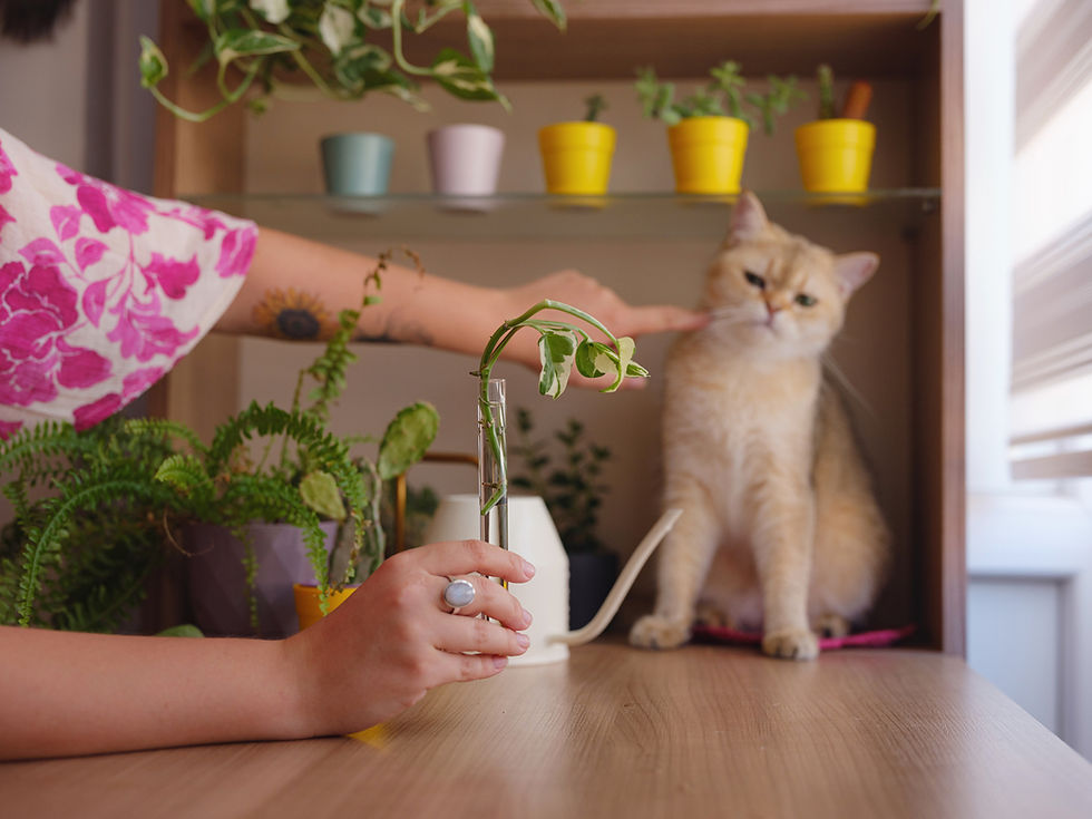 Pet-Proofing Your Home for National Pet Month