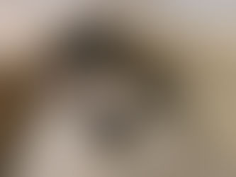 Gray kitten sitting in a clean litter box, looking up at the camera in a Chandler, AZ home.