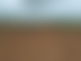 甘丹北學院種植 計畫