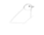 How to draw a bird step-by-step drawing tutorial. Step 2. Draw the bird's head and beak.