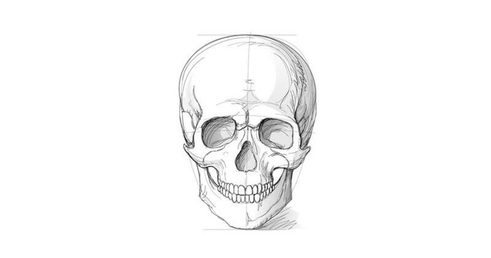 How to draw a skull with a pencil - 697f66 0f5fb99a5bf845e5a3d6ac10caaf9170~mv2