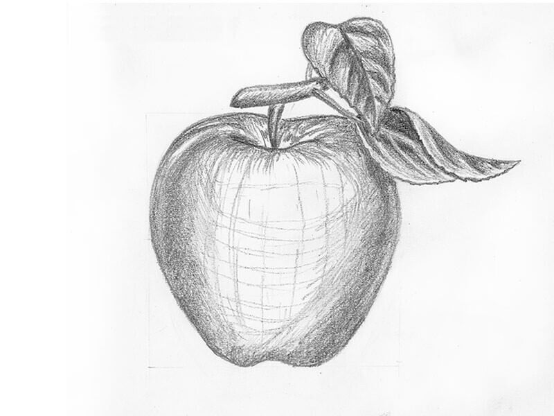 How To Draw An Apple With A Pencil Step by step Drawing Tutorial How To Draw An Apple With A Pencil Step by step Drawing Tutorial