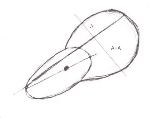 Step 2. Draw the neck frill or collar of Styracosaurus.
