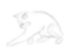 How to draw a playing kitten. Step 4. Draw all kitten's legs. Erase the auxiliary lines.