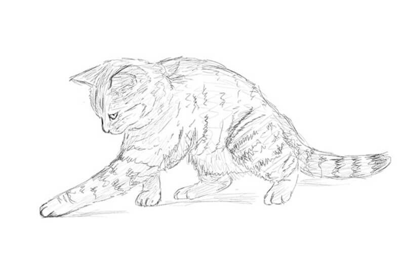 How to draw a playing kitten. Step-by-step drawing tutorial.