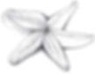 How to draw a starfish. Step 4. Add volume to our starfish drawing.
