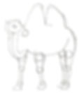 How to draw a camel. Step 4. Drawing camel's legs