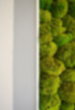 Picture of a wall art