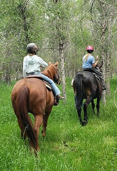 Horseback Riding - Shire Valley