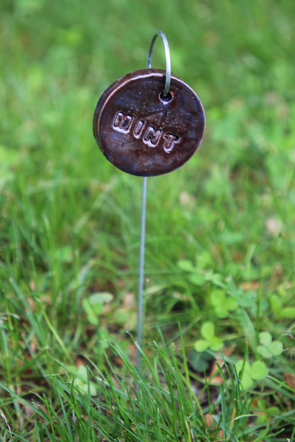 Thumbnail: Plant Tags (MINT)
