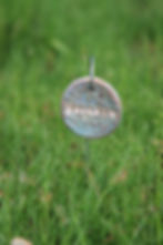 Thumbnail: Plant Tags (SPINACH)